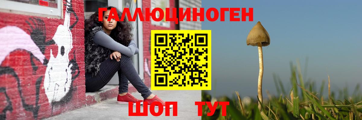 Псилоцибиновые грибы Magic Shrooms Улан-Удэ